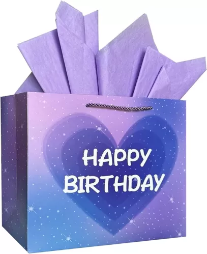AMROSE13'' Large Birthday Gift Bag for Girls, Recyclable Paper Gift Bag with Tissue Paper for Girls or Women's Birthday Party, Kids' Parties, Baby Shower, Love Heart Shape