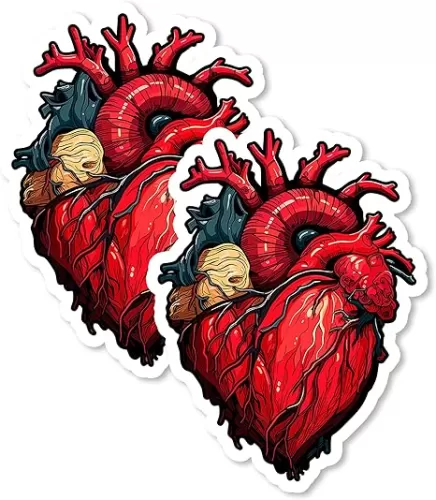 Anatomical Heart Magnet 4 Inch 2-Pack – Strong Vinyl Decorative Magnets for Fridge Locker Kitchen Office – Cute Fun Aesthetic Cool Durable & Long-Lasting Souvenir ID44999