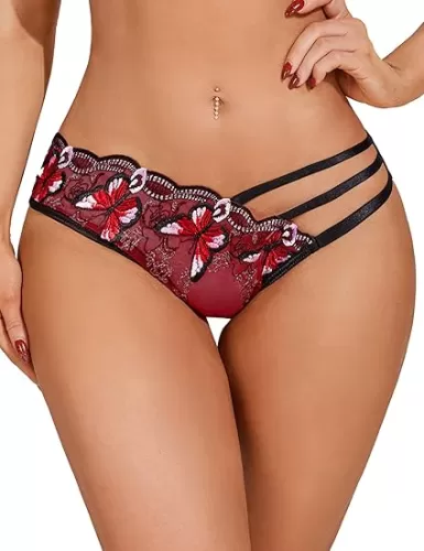 Avidlove Sexy Panties for Women Butterfly Embroidered Underwear Mesh Panties Pack