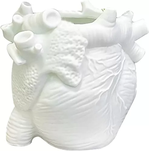 Desk Organizer, Small Human Heart Organ Shape Pen Holder, 3D Realistic Heart Anatomy Model, Office Desk Accessories for Makeup Brushes Pens White