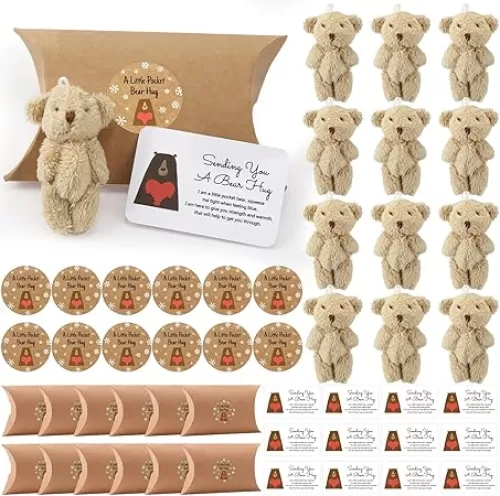 Libima 12 Sets Little Pocket Bear Hug Bulk Cute Pocket Hug Stuffed Animals Pillow Boxes with Heart Shaped Blank Tag for Your Loved One Valentine‘s Day Birthday Wedding(Beige)
