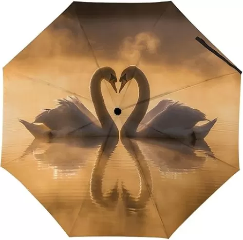 Two Heart-Shaped Swans Travel Umbrella Compact, Windproof Manual & Automatic Umbrellas for Rain, Sun UV Protection Folding Umbrella with Case, Portable Totes Umbrella, Auto Open Close-