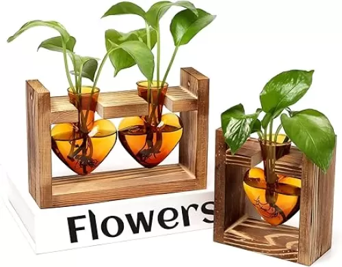 2+1 Plant Terrarium Plant Propagation Station Birthday Gifts for Women Plant Lovers Home Office Decor with Wooden Stand