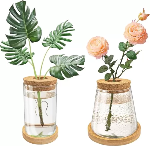 2Pcs Plants Propagation Station, Desktop Glass Planter Terrarium Vase with Wooden Lid&Tray, Plant Lover Gift (Hammer&Plain Glass)