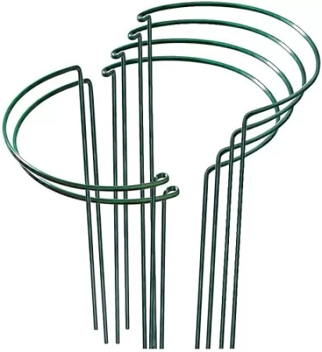 6pcs Garden Plant Bracket Climbing Support Frame Flower Pot Frame Flower Heart-shaped Metal Iron Fixed Pole Gardening, for Climbing Plants (green)