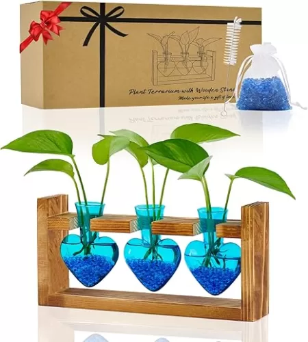 Air Plant Terrarium Propagation Stations: Heart Shaped Vases with Wooden Stand for Home Garden Office Desktop - Gifts for Women Mom