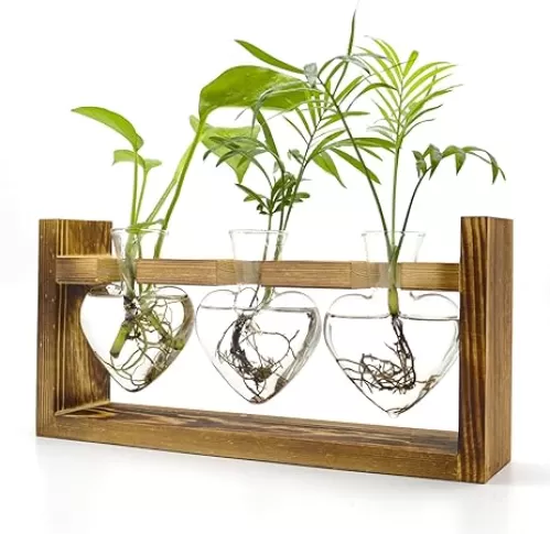 Air Plant Terrarium with Wooden Stand, Plant Propagation Stations with Heart Vase, Kawaii Plant Terrarium, Gifts for Plant Lovers Women, for Hydroponics Home Garden Office Decoration