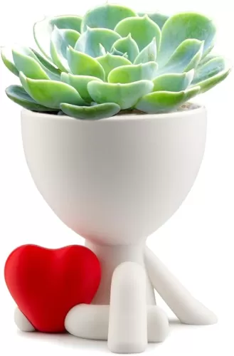 Creative Heart Flower Pot, Small Succulent Pot, Indoor Small Planters Cute Cactus for Home Decor and Office Desk Decoration
