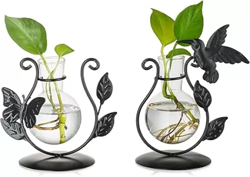Glasseam Unique Propagation Stations: Set of 2 Glass Terrarium for Indoor Plants Cute Hydroponic Bulb Planter Propagated Plant Jars Propogation Station Vase for Women Mom Plant Lovers