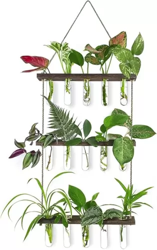 Ivolador Hanging Plant Propagation Station Wall, 3 Wall Hanging Propagation Station Test Tube Flower Planter for Hydroponic Plants Cutting Home Office Garden Decor Plant Lover Gift