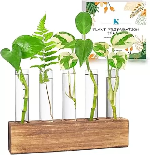 KAXYEW Plant Propagation Station, Plant Propagation Tubes, Gifts for Plant Lovers, Plants Cutting Holder Office Desk Garden Décor Gifts for Her Mom Women Hydroponic Vase Gift Box