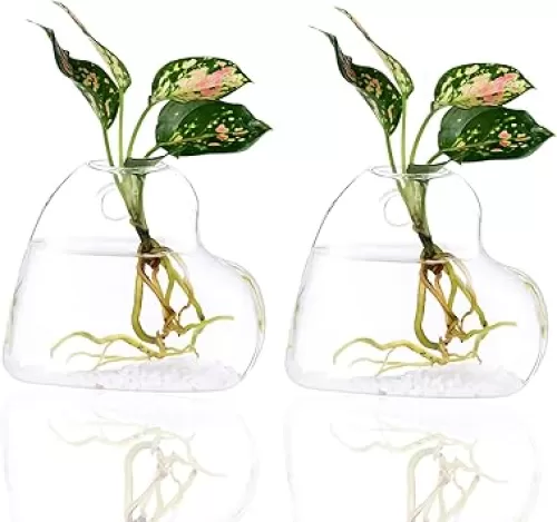 Kingbuy Wall Hanging Glass Planter Terrarium Plant Propagation Station Heart Shape Vase for Planting Hydroponic Water Plants Home Office Garden Decor Gift, 2 Pack