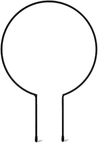 Metal Iron Round Heart Shaped Garden Plant Stake Stand for Potted Climbing Flower Vegetables Vine Rack