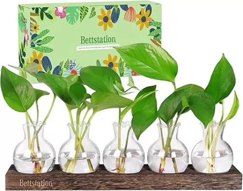 Plant Propagation Station, Plants Terrarium with Wooden Stand 5 Bulb Houseplants Glass Vase for Hydroponic Plants Gift for Plant Lovers Home Office Decor