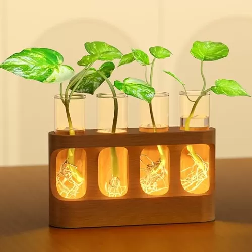 Plant Propagation Station with 9-Speed Adjustable LED Lights, Plant Terrarium with Wooden Stand, 4 Test Tube Vases for Propagating Hydroponic Plants, Unique Gift for Plant Lovers, Mother's Day