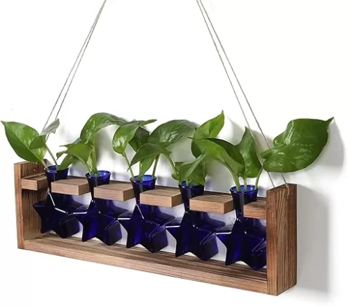 Plant Propagation Stations 5 Star Terrarium Starter kit Glass planters for Indoor Plants Gift for Women with Wooden Stand Star Shaped Colored Glass Vase