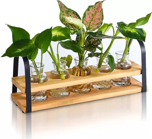 Plant Propagation Stations with Wood Stand, Desktop Plant Terrarium for Propagating Hydroponic, Flower Vase for Home Kitchen Office Decor, Plant Lover Gifts