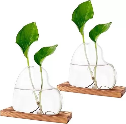 Plant Terrarium Propagation Stations, 2-Pack, Wooden Stand for Small Hydroponic, Air & Water Planter Vase, Propagation Jars, Home Office Decor - Glass Heart-Shaped Vase for Weddings