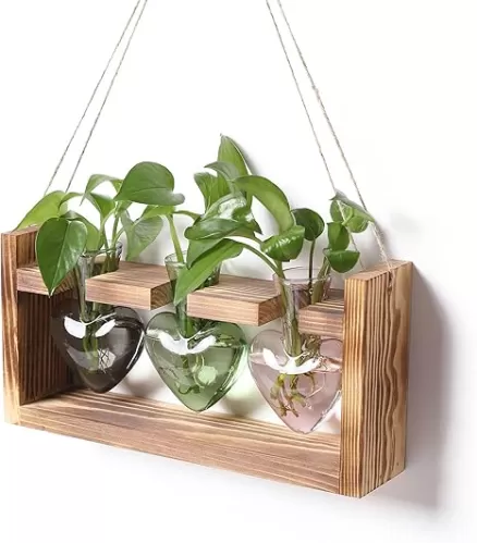 Plant Terrarium Unique Birthday Gift for Women Wall Planters for Indoor Hydroponic Plant Propagation Stations Heart Shaped Glass Vase with Wooden Stand