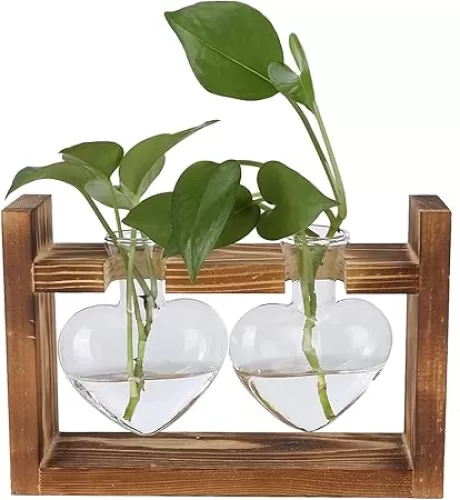 Plant Terrarium with Wooden Stand, Heart Shaped Transparent Glass Vase Flower Pot Hydroponics Plant Propagation Station for Hydroponics Plants Home Office Decor (Retro Box + 2