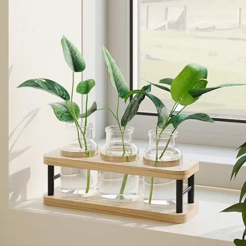THYGIFTREE Plant Propagation Station with Wooden Stand, Propagation Vases Glass Planters for Indoor Plants Hydroponic Propagating Jars Home Office Decor, Plant Lover Gifts Mothers Day
