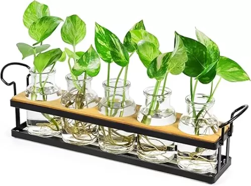 THYGIFTREE Plant Propagation Stations with Metal Stand, Tabletop Plant Terrarium for Propagating Hydroponic, Retro Glass Planter Flower Vase Home Kitchen Office Decor, Plant Lover Gifts, 5 Jars
