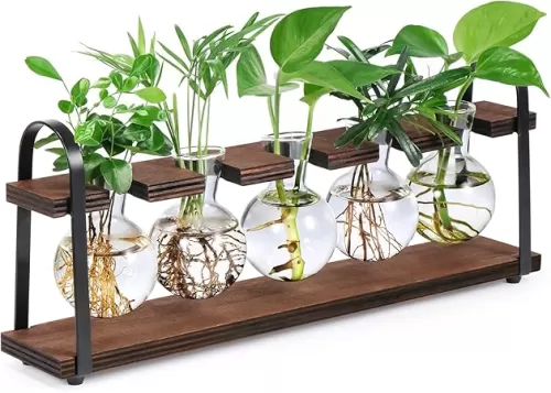 THYGIFTREE Plant Propagation Stations with Wooden Stand, Desktop Retro Plant Terrarium Bulb Vase for Indoor Hydroponic Flowers, Tabletop Glass Planter Housewarming Gifts for Plant Lovers