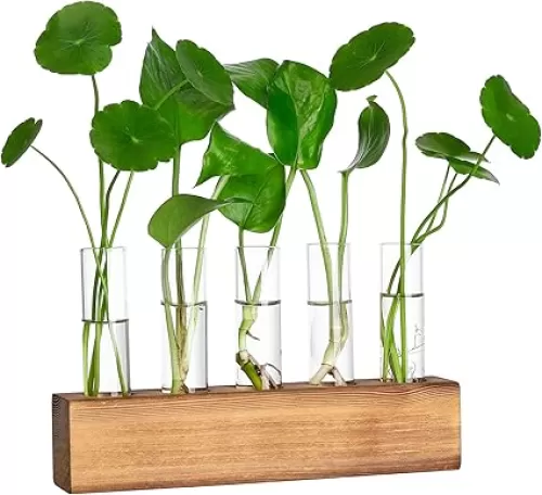 YIBOT Propagation Stations, Plant Propagation Tubes, Unique Gifts for Plant Lovers Plant Terrarium with Wooden Stand, Home Office Desk Decor, 5 Glass Test Tube Vases