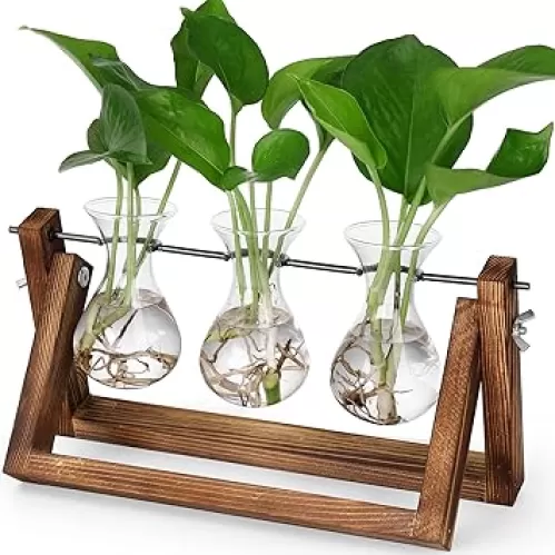 YIBOT Propagation Stations, Plant Terrarium with Retro Wooden Stand, Unique Gardening Birthday Gifts for Women Plant Lovers, Hydroponics Plants Home Office Garden Decor - 3 Bulb Glass Vases
