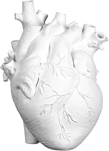 ecorative Heart Vase, Resin Vase Flower Pot - Anatomical Heart Shaped Desktop Decoration Ornament Craft for Farmhouse Living Room Bedroom Countertop (White, S)