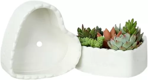 Sizikato 2pcs White Porcelain Succulent Planter, Heart-Shaped Ceramic Cactus Planter, 5.7-Inch