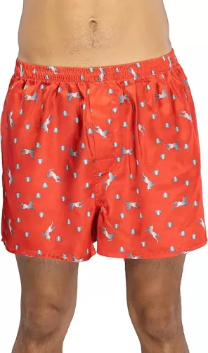 Valentine's Day Unicorns and Hearts Red Boxer Shorts - Large