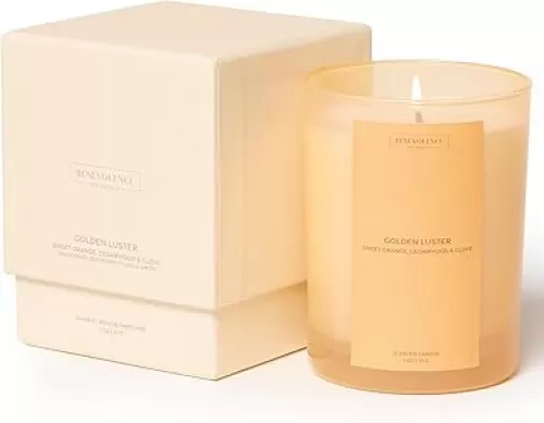 Benevolence LA Fall Candles - Orange, Cedarwood & Clove Scented Candle for Home | 11oz, 60-Hour Burn | Natural Wax, Cotton Wick | Sun-Kissed Collection