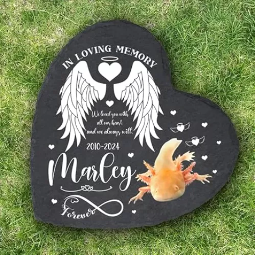 Personalized Axolotl Memorial Stones - Customized Pet Memory Stone for Fish, Custom Sympathy Gifts for Loss of Pet Axolotl Fish, Waterproof Garden Pet Grave Markers Headstone, Heart Shaped