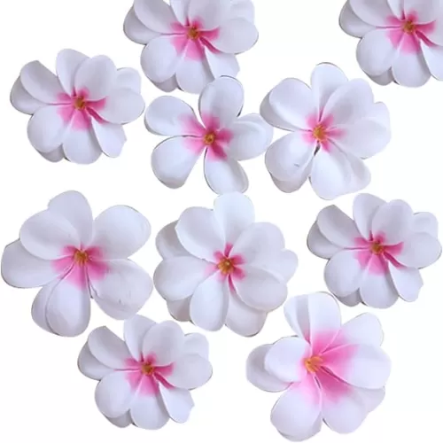 120 Pcs Artificial Plumeria Rubra Hawaiian Flower Petals Silk Flowers for DIY Hair Accessories Home Wedding Party Decoration, White and Hot Pink Heart