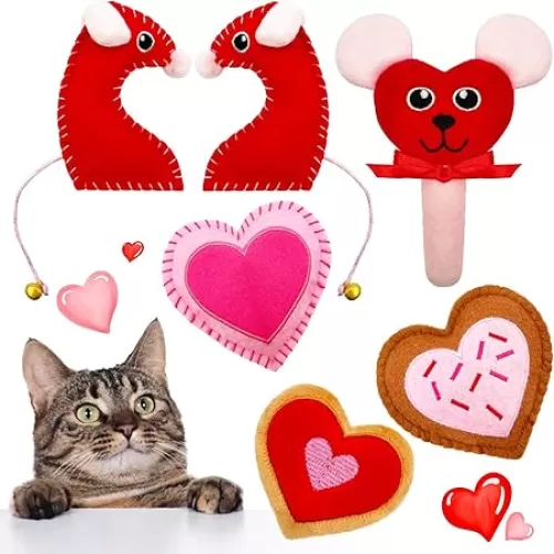 6 Pack Valentine