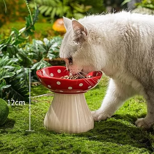 Elevated Cat Bowl Raised Elevated Cat Food Bowl Mushroom Water Tilted Dish for Kitten Feeding Food Plate Protect Spine Anti-Vomiting Dishwasher Safe for Kitty, Small Puppy(Red Pack of 1)