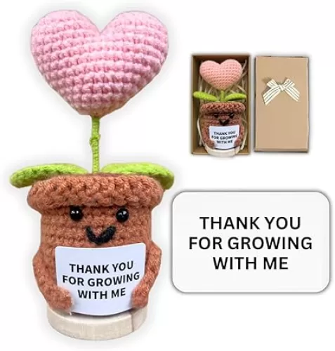 Emotional Support Plant Decor, Handmade Crochet Heart Flower, Inspirational Message Display - for Him Her Valentines (Thank You for Growing with Me)