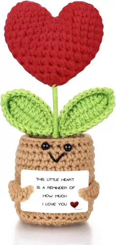 Emotional Support Plush Heart for Mom Dad Daughter Son Sister Friends Coworkers, Positive Crochet Flowers, Inspirational Birthday Graduation Gift, Appreciation Gifts (I Love You Reminder)