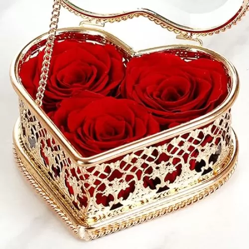 Enchanted Real Preserved Forever Roses in Vintage Heart Shaped Rose Gold Glass Jewelry Box, Handmade Real Fresh Preserved Flower for her Birthday Valentine's Day Mother's Day (Red)