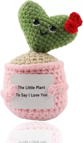 Funny Anniversary Women Gifts Mothers Day Birthday I Love You Heart Flower Gift for Her Him, Romantic Present for Girlfriend Wife Couple Boyfriend Husband, Handmade Crochet Plant Love-Heart Flowers