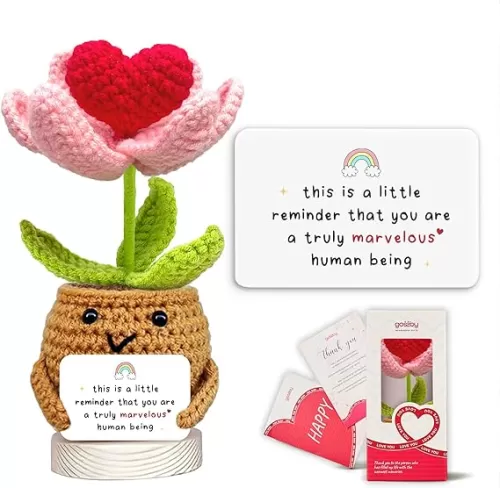 Gossby Handmade Positive Heart Flower Crochet - This is A Little Reminder - Inspirational Gift for Women - Thank You, Appreciation, Positive Gift for Teacher, Mom, Friend, Coworker - Knitted Decor