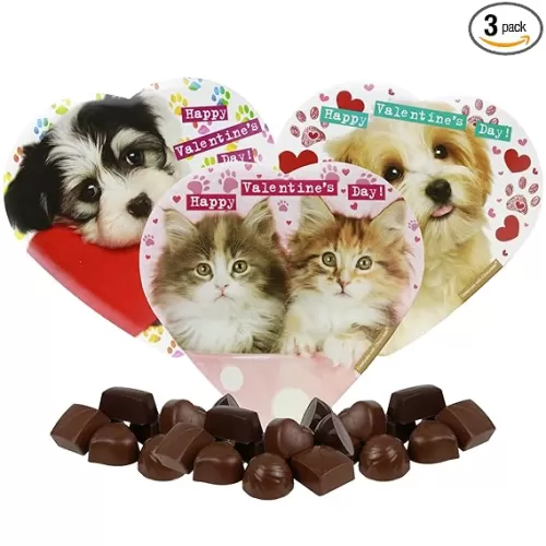 Needzo Valentines Heart Shaped Gift Boxes with Dogs & Cats Bundle, 3 Mini Box with Assorted Chocolate Treats, Present for Loved Ones, Pack of 3, 2 Ounces