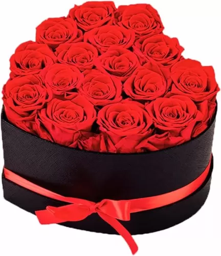 Preserved Flowers Heart Shape Box 16 Preserved Roses, Immortal Red Roses Gift for Her Him, Eternal Fresh Flowers for Fathers Day Men Valentines Day Gifts for Dad