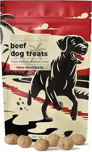 Santa Cruz Paleo Dog Treats, 4 oz Bag, Beef Liver Treats for Dogs with Beef Heart, Vitamin E, Healthy Mini Meatball Dog Training Treats or Food Topper Made with 100% Pasture Raised Beef, High Protein
