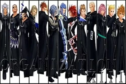 Kingdom Hearts 2 3 Sora Organization XIII 13 Nice Silk Fabric Cloth Wall Poster Print (20x13inch) by Wall Station