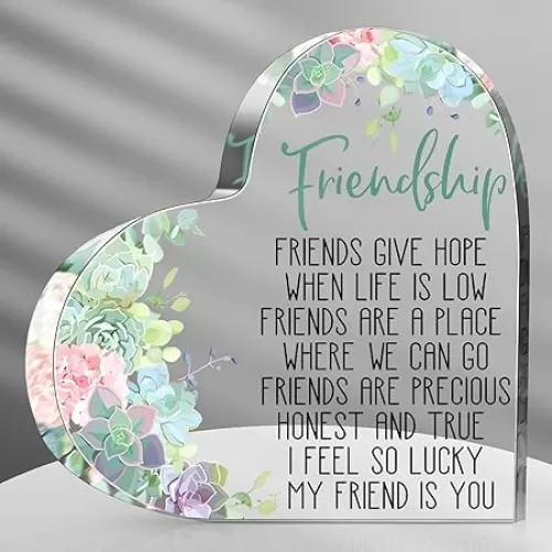 Spiareal Gift for Friend Friendship Women Friend Friendship Birthday Cheer up Gift Acrylic Heart Butterfly Keepsake Paperweight for Home Office Table Shelf(Heart Succulent)