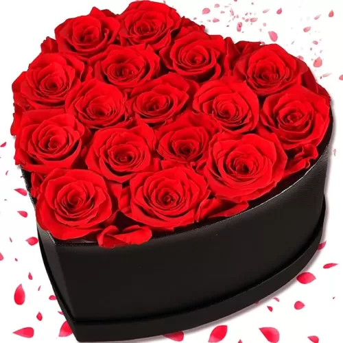 16 Forever Flowers, Preserved Rose in 9.5 inch Heart Shape Box for Women, Wife, Mom, Prime Eternal Roses Gifts for Mothers Day, Birthday, Valentines, Anniversary, Graduation, Wedding