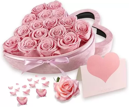 16-Piece Preserved Flower Real Rose in Luxury Suede Heart Shape Box, Birthday Gifts for Mom, Women, Wife, Prime Eternal Roses Gift for Mothers Day, Valentines, Anniversary, Wedding, Christmas