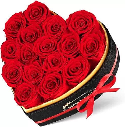 16 Preserved Roses in Heart Shape Gift Box for Her - Forever Flowers for Delivery, Eternal Rose Mothers Gifts for Mom, Wife Anniversary Birthday Gifts for Women, Red